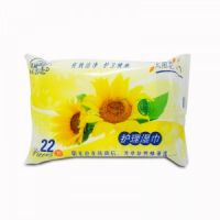 【护理保健】红袖添香系列护理湿巾22片装雅润